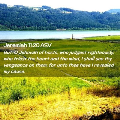 Picture 02 - Jeremiah 11:20 ASV - But, O Jehovah of hosts, who judgest righteously, - Bible Verse Picture