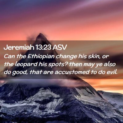 Picture 02 - Jeremiah 13:23 ASV - Can the Ethiopian change his skin, or the leopard - Bible Verse Picture