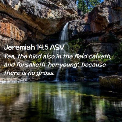 Picture 02 - Jeremiah 14:5 ASV - Yea, the hind also in the field calveth, and - Bible Verse Picture