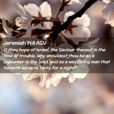 Picture 02 - Jeremiah 14:8 ASV - O thou hope of Israel, the Saviour thereof in the - Bible Verse Picture