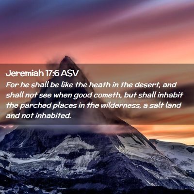 Picture 02 - Jeremiah 17:6 ASV - For he shall be like the heath in the desert, and - Bible Verse Picture