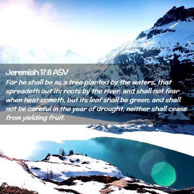 Picture 02 - Jeremiah 17:8 ASV - For he shall be as a tree planted by the waters, - Bible Verse Picture
