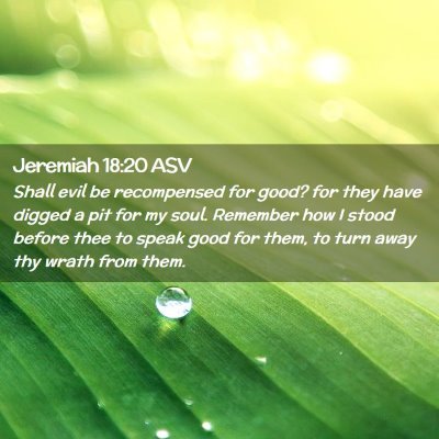 Picture 02 - Jeremiah 18:20 ASV - Shall evil be recompensed for good? for they have - Bible Verse Picture