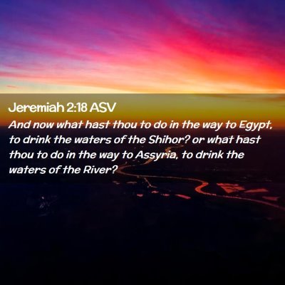 Picture 02 - Jeremiah 2:18 ASV - And now what hast thou to do in the way to Egypt, - Bible Verse Picture