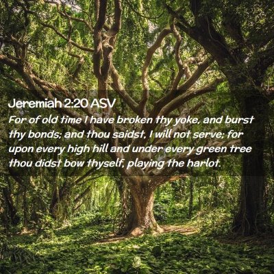 Picture 02 - Jeremiah 2:20 ASV - For of old time I have broken thy yoke, and burst - Bible Verse Picture