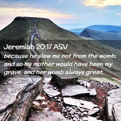 Picture 02 - Jeremiah 20:17 ASV - because he slew me not from the womb; and so my - Bible Verse Picture