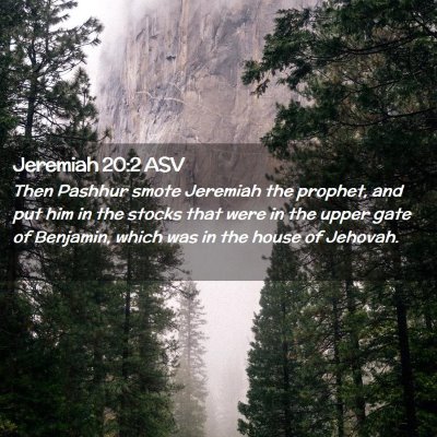 Picture 02 - Jeremiah 20:2 ASV - Then Pashhur smote Jeremiah the prophet, and put - Bible Verse Picture