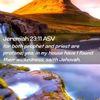 Picture 02 - Jeremiah 23:11 ASV - for both prophet and priest are profane; yea, in - Bible Verse Picture