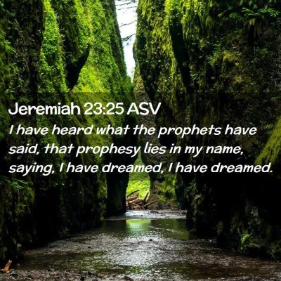 Picture 02 - Jeremiah 23:25 ASV - I have heard what the prophets have said, that - Bible Verse Picture