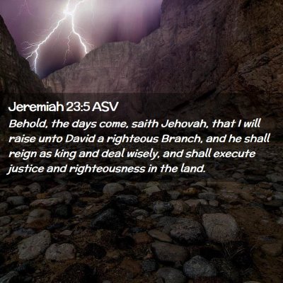 Picture 02 - Jeremiah 23:5 ASV - Behold, the days come, saith Jehovah, that I will - Bible Verse Picture