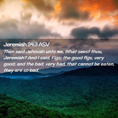 Picture 02 - Jeremiah 24:3 ASV - Then said Jehovah unto me, What seest thou, - Bible Verse Picture