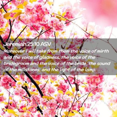 Picture 02 - Jeremiah 25:10 ASV - Moreover I will take from them the voice of mirth - Bible Verse Picture