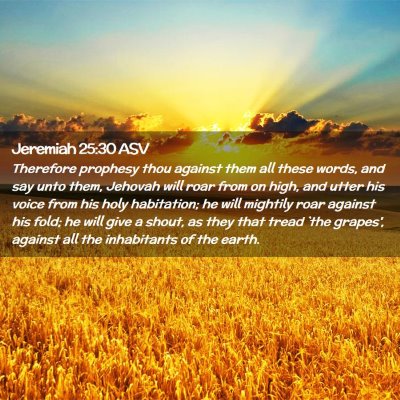 Picture 02 - Jeremiah 25:30 ASV - Therefore prophesy thou against them all these - Bible Verse Picture