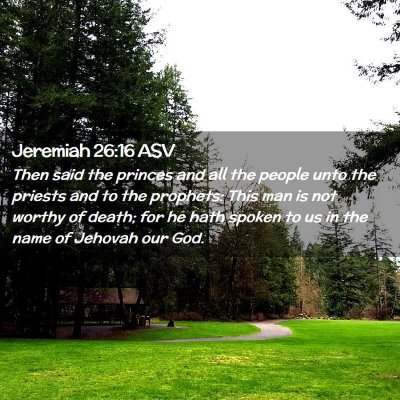 Picture 02 - Jeremiah 26:16 ASV - Then said the princes and all the people unto the - Bible Verse Picture