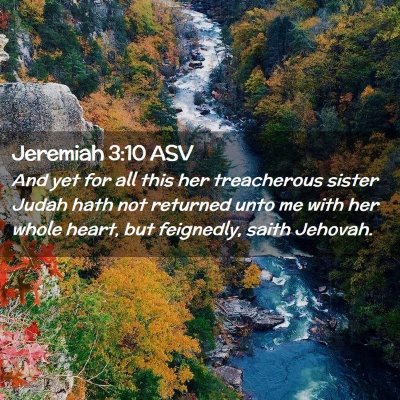 Picture 02 - Jeremiah 3:10 ASV - And yet for all this her treacherous sister Judah - Bible Verse Picture