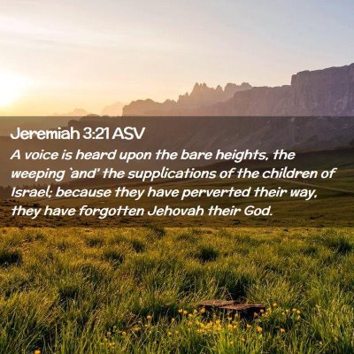 Picture 02 - Jeremiah 3:21 ASV - A voice is heard upon the bare heights, the - Bible Verse Picture