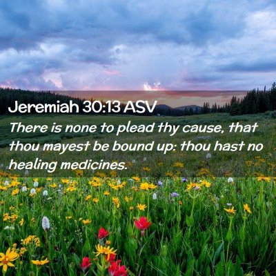 Picture 02 - Jeremiah 30:13 ASV - There is none to plead thy cause, that thou - Bible Verse Picture