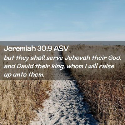 Picture 02 - Jeremiah 30:9 ASV - but they shall serve Jehovah their God, and David - Bible Verse Picture