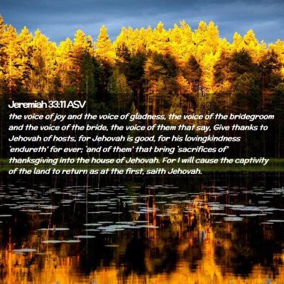 Picture 02 - Jeremiah 33:11 ASV - the voice of joy and the voice of gladness, the - Bible Verse Picture