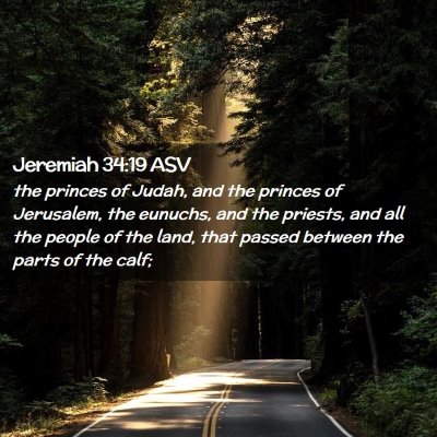 Picture 02 - Jeremiah 34:19 ASV - the princes of Judah, and the princes of - Bible Verse Picture