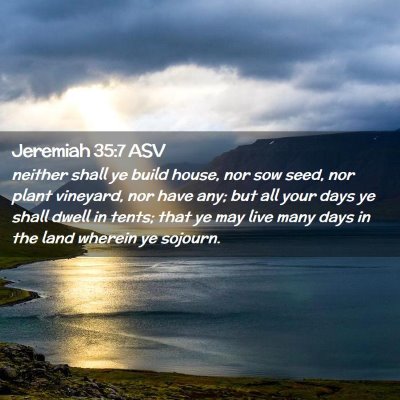 Picture 02 - Jeremiah 35:7 ASV - neither shall ye build house, nor sow seed, nor - Bible Verse Picture