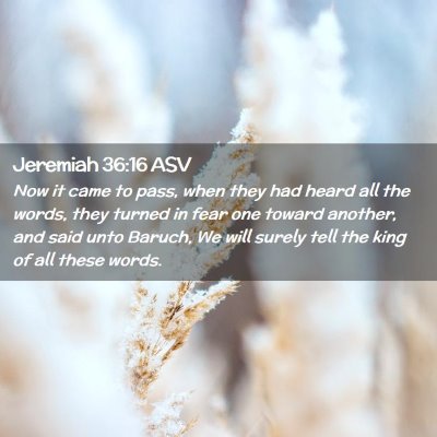 Picture 02 - Jeremiah 36:16 ASV - Now it came to pass, when they had heard all the - Bible Verse Picture
