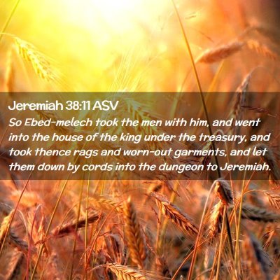 Picture 02 - Jeremiah 38:11 ASV - So Ebed-melech took the men with him, and went - Bible Verse Picture