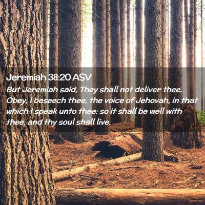 Picture 02 - Jeremiah 38:20 ASV - But Jeremiah said, They shall not deliver thee. - Bible Verse Picture