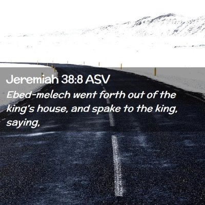 Picture 02 - Jeremiah 38:8 ASV - Ebed-melech went forth out of the king's house, - Bible Verse Picture