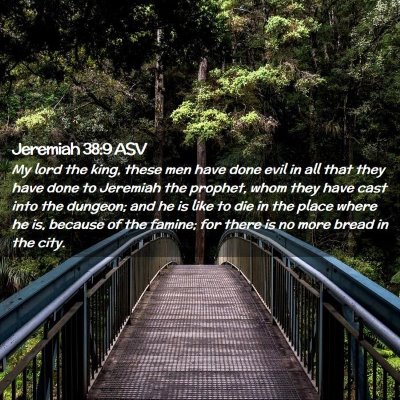 Picture 02 - Jeremiah 38:9 ASV - My lord the king, these men have done evil in all - Bible Verse Picture