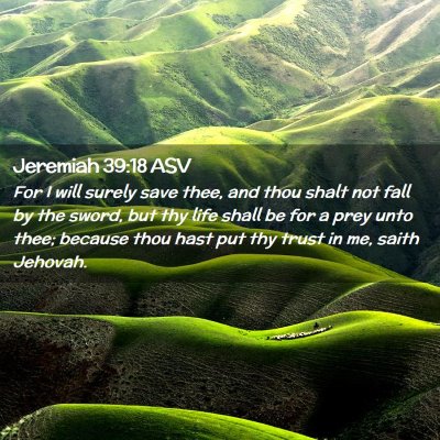 Picture 02 - Jeremiah 39:18 ASV - For I will surely save thee, and thou shalt not - Bible Verse Picture