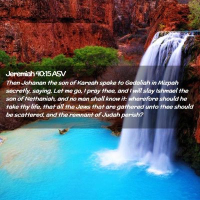 Picture 02 - Jeremiah 40:15 ASV - Then Johanan the son of Kareah spake to Gedaliah - Bible Verse Picture