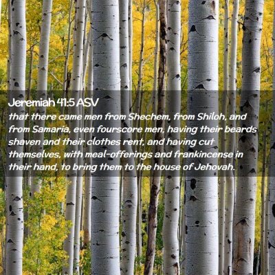 Picture 02 - Jeremiah 41:5 ASV - that there came men from Shechem, from Shiloh, - Bible Verse Picture
