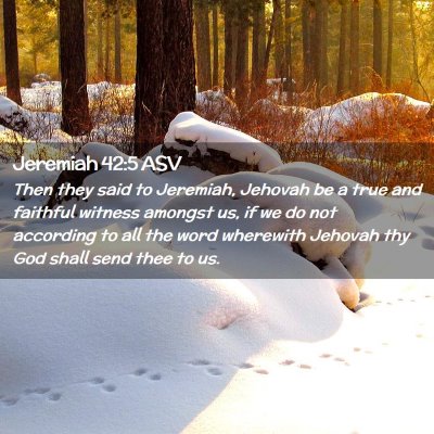 Picture 02 - Jeremiah 42:5 ASV - Then they said to Jeremiah, Jehovah be a true and - Bible Verse Picture