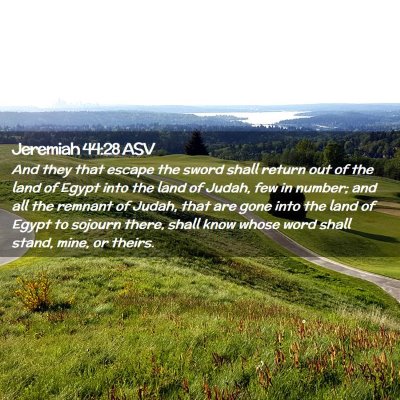 Picture 02 - Jeremiah 44:28 ASV - And they that escape the sword shall return out - Bible Verse Picture