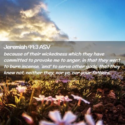 Picture 02 - Jeremiah 44:3 ASV - because of their wickedness which they have - Bible Verse Picture