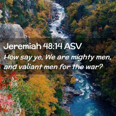 Picture 02 - Jeremiah 48:14 ASV - How say ye, We are mighty men, and valiant men - Bible Verse Picture