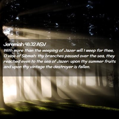 Picture 02 - Jeremiah 48:32 ASV - With more than the weeping of Jazer will I weep - Bible Verse Picture