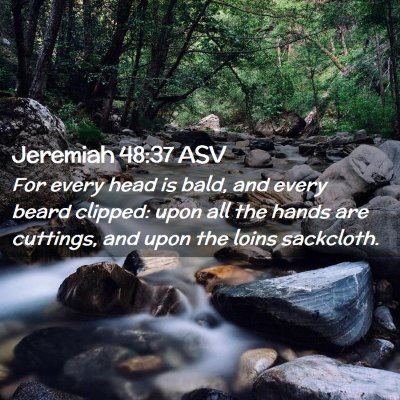 Picture 02 - Jeremiah 48:37 ASV - For every head is bald, and every beard clipped: - Bible Verse Picture