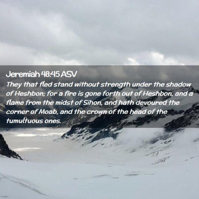 Picture 02 - Jeremiah 48:45 ASV - They that fled stand without strength under the - Bible Verse Picture