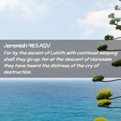 Picture 02 - Jeremiah 48:5 ASV - For by the ascent of Luhith with continual - Bible Verse Picture