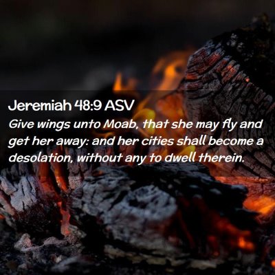 Picture 02 - Jeremiah 48:9 ASV - Give wings unto Moab, that she may fly and get - Bible Verse Picture
