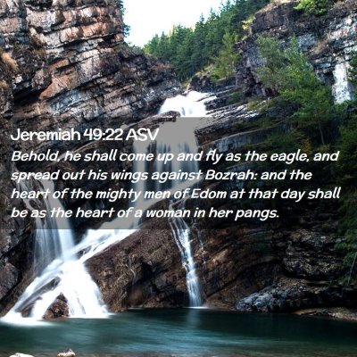 Picture 02 - Jeremiah 49:22 ASV - Behold, he shall come up and fly as the eagle, - Bible Verse Picture