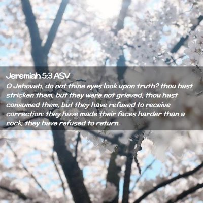 Picture 02 - Jeremiah 5:3 ASV - O Jehovah, do not thine eyes look upon truth? - Bible Verse Picture