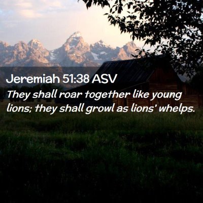Picture 02 - Jeremiah 51:38 ASV - They shall roar together like young lions; they - Bible Verse Picture