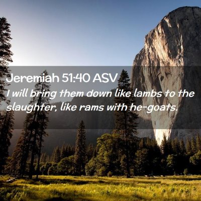 Picture 02 - Jeremiah 51:40 ASV - I will bring them down like lambs to the - Bible Verse Picture