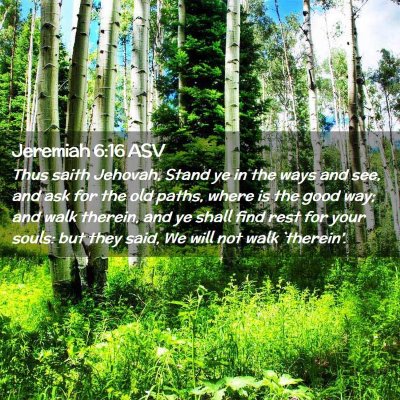 Picture 02 - Jeremiah 6:16 ASV - Thus saith Jehovah, Stand ye in the ways and see, - Bible Verse Picture