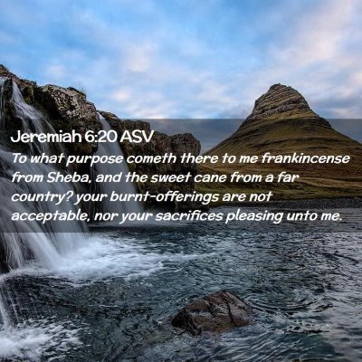 Picture 02 - Jeremiah 6:20 ASV - To what purpose cometh there to me frankincense - Bible Verse Picture