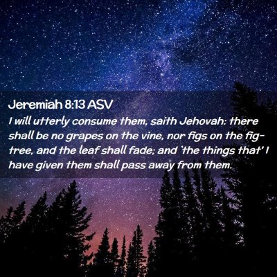 Picture 02 - Jeremiah 8:13 ASV - I will utterly consume them, saith Jehovah: there - Bible Verse Picture