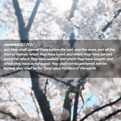 Picture 02 - Jeremiah 8:2 ASV - and they shall spread them before the sun, and - Bible Verse Picture